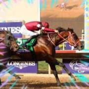 ヒメ日記 2025/11/02 12:50 投稿 本上 西船橋おかあさん