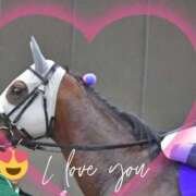 ヒメ日記 2025/11/05 13:29 投稿 本上 西船橋おかあさん