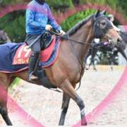 ヒメ日記 2025/11/12 13:00 投稿 本上 西船橋おかあさん