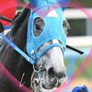 ヒメ日記 2025/11/12 13:30 投稿 本上 西船橋おかあさん