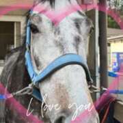 ヒメ日記 2025/11/13 15:30 投稿 本上 西船橋おかあさん