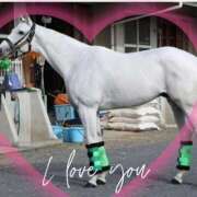 ヒメ日記 2025/11/19 12:20 投稿 本上 西船橋おかあさん