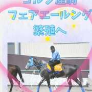 ヒメ日記 2025/11/20 12:20 投稿 本上 西船橋おかあさん