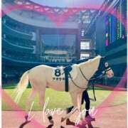 ヒメ日記 2025/11/20 17:20 投稿 本上 西船橋おかあさん