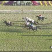 ヒメ日記 2025/11/23 16:00 投稿 本上 西船橋おかあさん