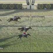 ヒメ日記 2025/11/24 16:00 投稿 本上 西船橋おかあさん