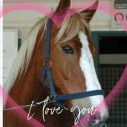 ヒメ日記 2025/11/28 22:01 投稿 本上 西船橋おかあさん