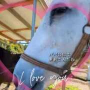 ヒメ日記 2025/11/30 12:50 投稿 本上 西船橋おかあさん