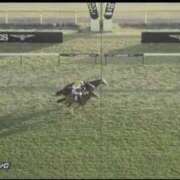 ヒメ日記 2025/11/30 16:20 投稿 本上 西船橋おかあさん