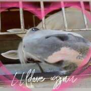 ヒメ日記 2025/12/02 11:00 投稿 本上 西船橋おかあさん