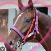 ヒメ日記 2025/12/06 15:05 投稿 本上 西船橋おかあさん