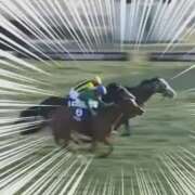 ヒメ日記 2025/12/06 17:34 投稿 本上 西船橋おかあさん