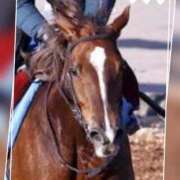 本上 国枝先生の所の🎶 西船橋おかあさん