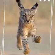 ヒメ日記 2025/12/16 10:05 投稿 本上 西船橋おかあさん