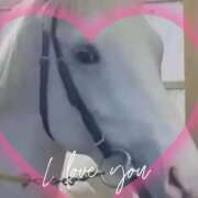 ヒメ日記 2025/12/16 16:50 投稿 本上 西船橋おかあさん