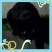 ヒメ日記 2025/12/23 10:20 投稿 本上 西船橋おかあさん