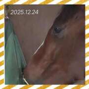 ヒメ日記 2025/12/25 11:20 投稿 本上 西船橋おかあさん