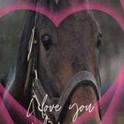 ヒメ日記 2025/12/25 18:40 投稿 本上 西船橋おかあさん