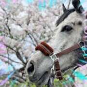 ヒメ日記 2025/12/30 14:50 投稿 本上 西船橋おかあさん