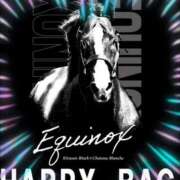 ヒメ日記 2025/12/31 13:30 投稿 本上 西船橋おかあさん