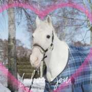 ヒメ日記 2026/01/01 17:00 投稿 本上 西船橋おかあさん