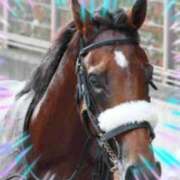 ヒメ日記 2026/01/17 14:20 投稿 本上 西船橋おかあさん