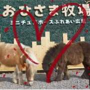 ヒメ日記 2026/02/10 22:40 投稿 本上 西船橋おかあさん