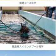ヒメ日記 2026/02/11 16:20 投稿 本上 西船橋おかあさん