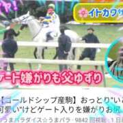ヒメ日記 2026/02/13 11:20 投稿 本上 西船橋おかあさん