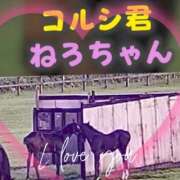 ヒメ日記 2026/03/03 20:50 投稿 本上 西船橋おかあさん