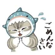 本上 冷房にやられました💦😿 西船橋おかあさん