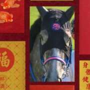 ヒメ日記 2026/09/13 12:20 投稿 本上 西船橋おかあさん