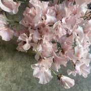 ヒメ日記 2025/03/04 22:30 投稿 りんご アート姫