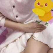 ヒメ日記 2025/05/26 14:29 投稿 りんご アート姫