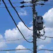 ヒメ日記 2025/08/20 17:14 投稿 りんご アート姫