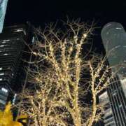 ヒメ日記 2025/12/05 22:43 投稿 りんご アート姫