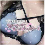 ヒメ日記 2025/02/18 00:12 投稿 ゆな 鶯谷デリヘル倶楽部