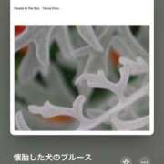 ヒメ日記 2024/12/27 18:46 投稿 みこと Hips悶絶痴女倶楽部 池袋