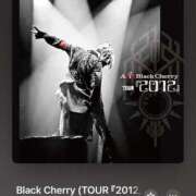 ヒメ日記 2025/02/16 18:16 投稿 みこと Hips悶絶痴女倶楽部 池袋