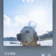 ヒメ日記 2025/11/05 20:43 投稿 みこと Hips悶絶痴女倶楽部 池袋