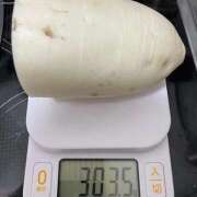 ヒメ日記 2025/12/19 12:36 投稿 みこと Hips悶絶痴女倶楽部 池袋