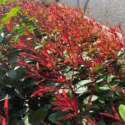 ヒメ日記 2026/03/24 17:26 投稿 みこと Hips悶絶痴女倶楽部 池袋