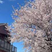 ヒメ日記 2026/04/03 22:26 投稿 みこと Hips悶絶痴女倶楽部 池袋