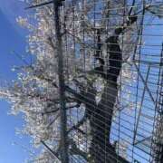 ヒメ日記 2026/04/04 20:06 投稿 みこと Hips悶絶痴女倶楽部 池袋