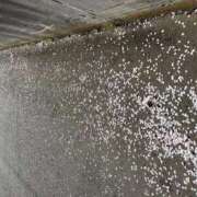 ヒメ日記 2026/04/05 14:46 投稿 みこと Hips悶絶痴女倶楽部 池袋