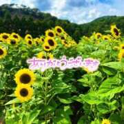 ヒメ日記 2025/07/20 13:21 投稿 みさ Blue Moon