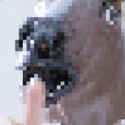 ヒメ日記 2025/10/07 12:12 投稿 みさ Blue Moon