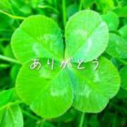 ヒメ日記 2025/11/04 00:03 投稿 みさ Blue Moon