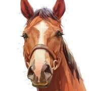 ヒメ日記 2026/01/23 12:09 投稿 みさ Blue Moon