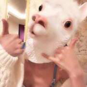 ヒメ日記 2026/01/30 11:39 投稿 みさ Blue Moon